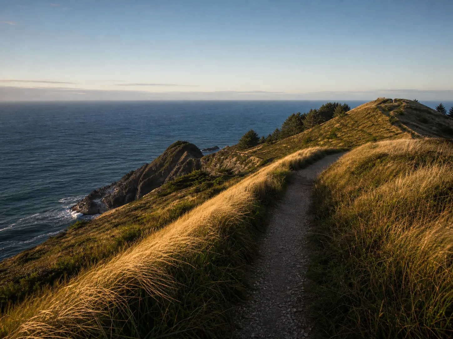 An empty trail crossing golden coastal grass above the Pacific
